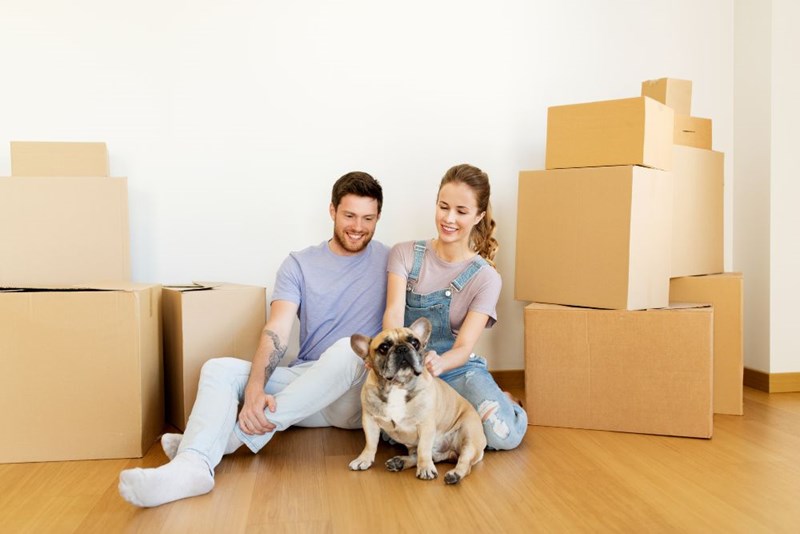 Your common questions about moving home cover photo